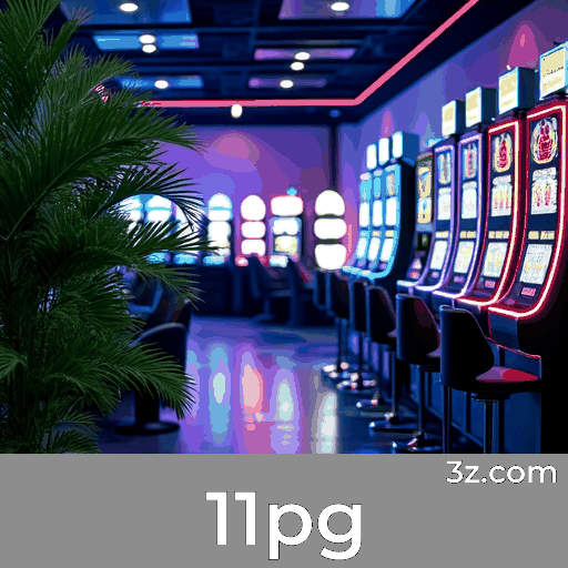 Controle Total da Sua Conta na 11pg: Personalização e Segurança Avançada